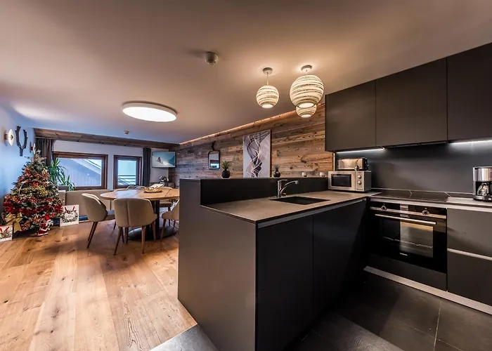 Spacieux Proche Des Remontees Mecaniques A - Fr-1-613a-49